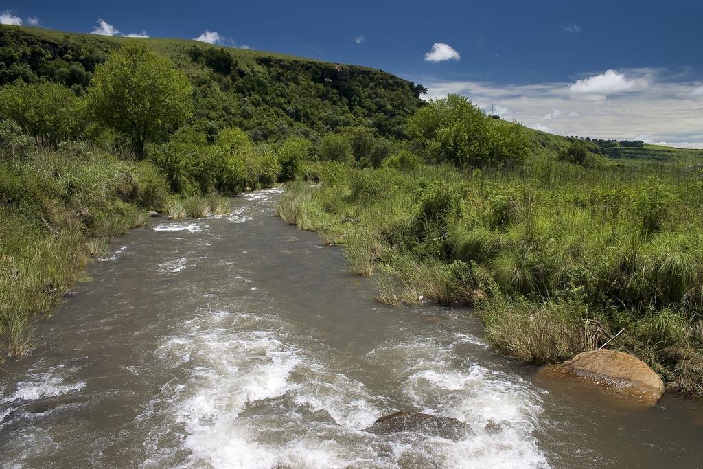 Вілла 20 Mount Champagne Champagne Valley Екстер'єр фото